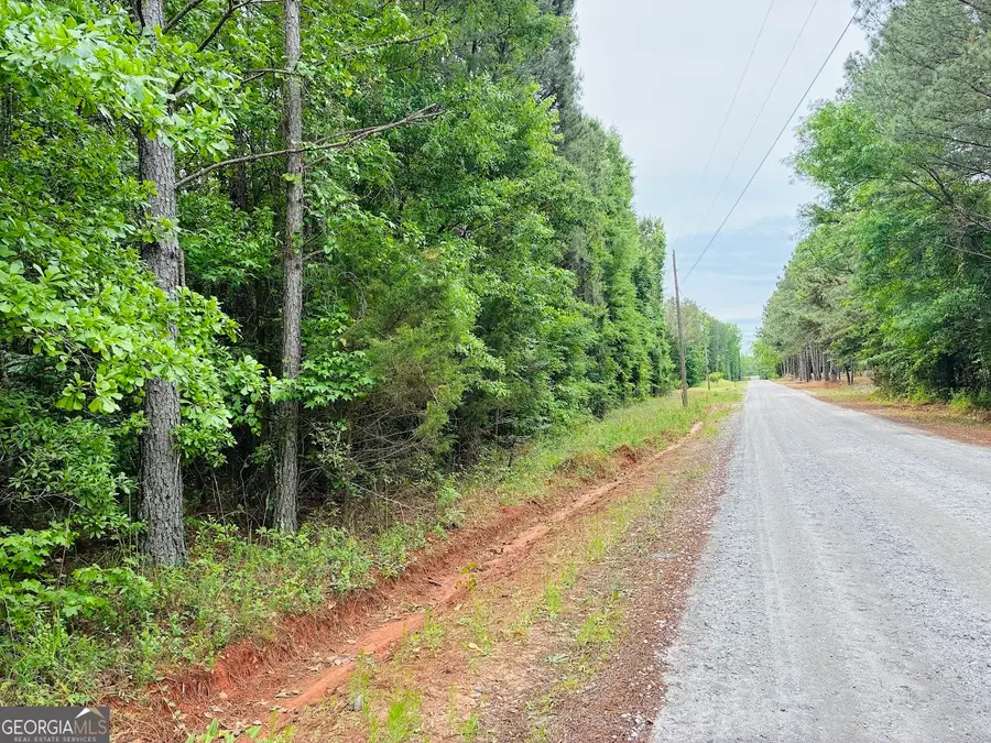 0 Lee Lane #LOT 2, Greenville, GA 30222 - #2