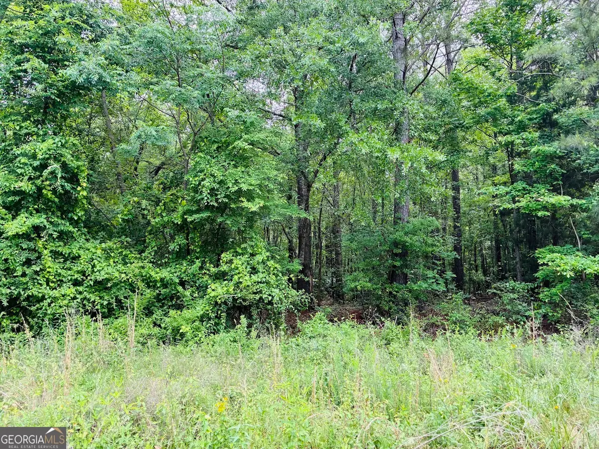 0 Lee Lane, Greenville, GA 30222 - #1