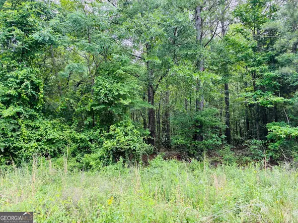 0 Lee Lane, Greenville, GA 30222