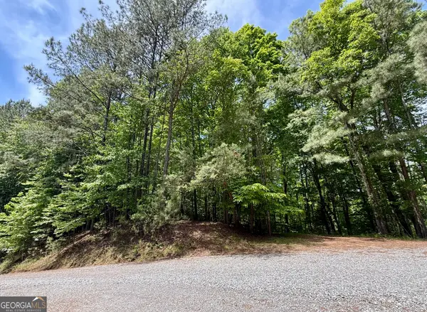 0 Nectar Lane, Ellijay, GA 30540