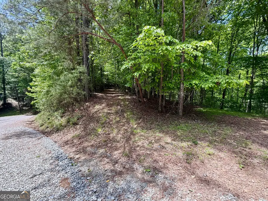 0 Nectar Lane, Ellijay, GA 30540 - #2