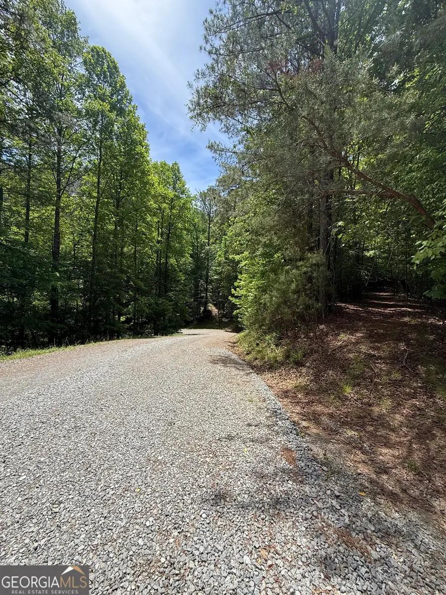 0 Nectar Lane, Ellijay, GA 30540 - #3