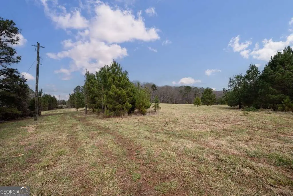 TRACT 2 High Shoals Road, Bishop, GA 30621 - #1