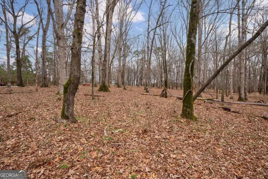 TRACT 3 High Shoals Road, Bishop, GA 30621 - #2