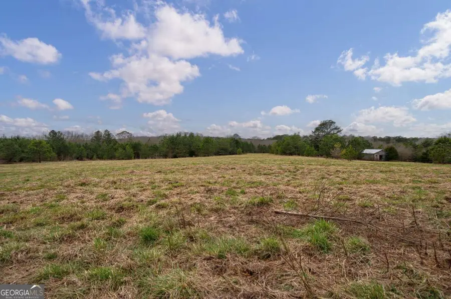TRACT 3 High Shoals Road, Bishop, GA 30621 - #3