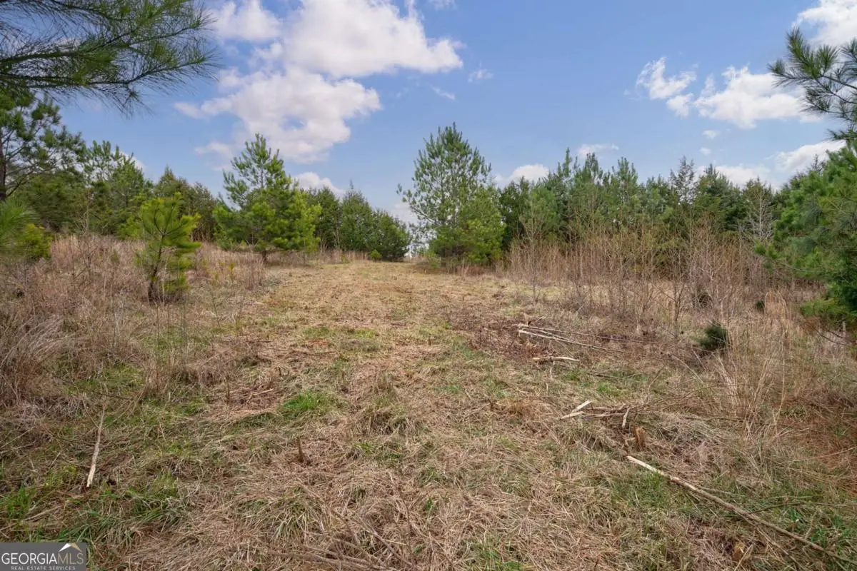 TRACT 1-A High Shoals Road, Bishop, GA 30621 - #1