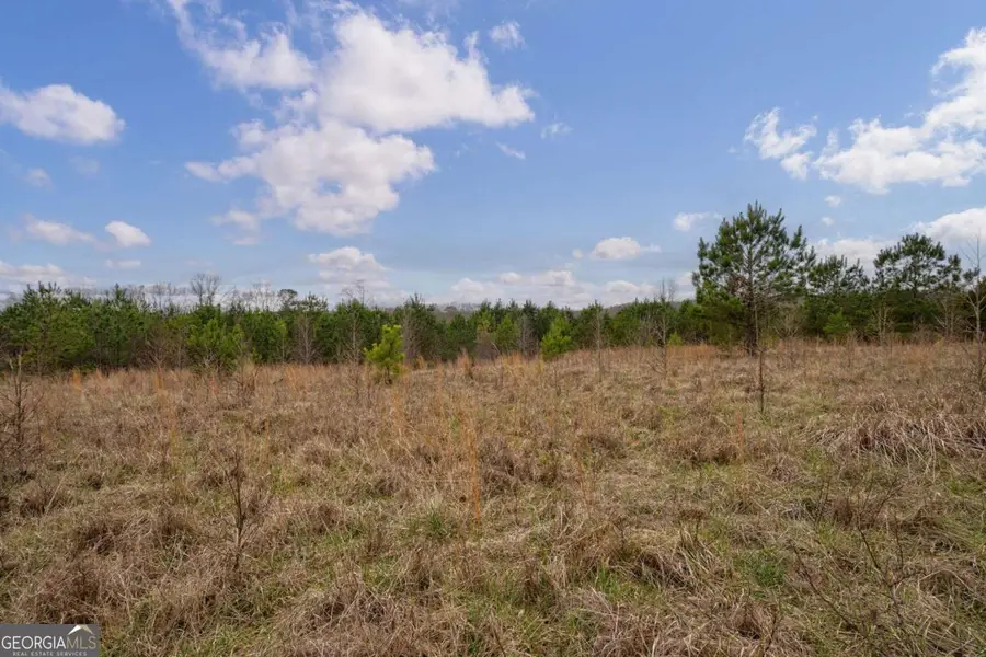 TRACT 1-A High Shoals Road, Bishop, GA 30621 - #2