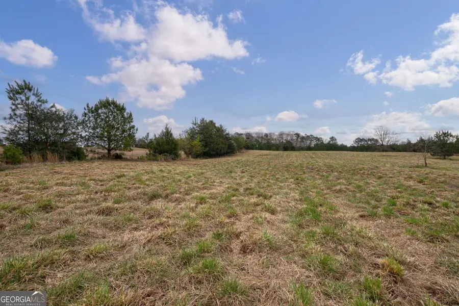 TRACT 1-A High Shoals Road, Bishop, GA 30621 - #3