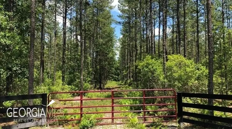LOT 1 Baker Blvd/cr 4, Saint George, GA 31562 - #3