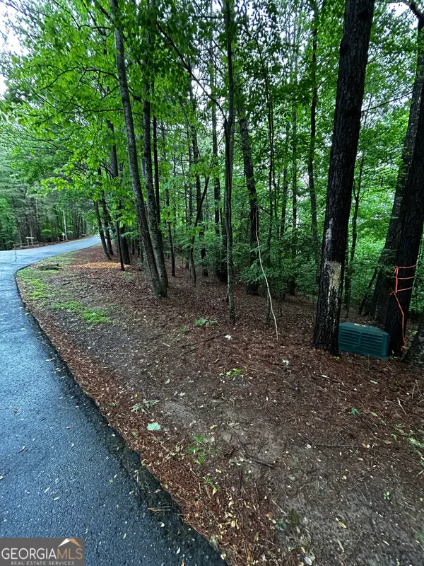1.08 ACRES 00 Lazy River Lane, Ellijay, GA 30540