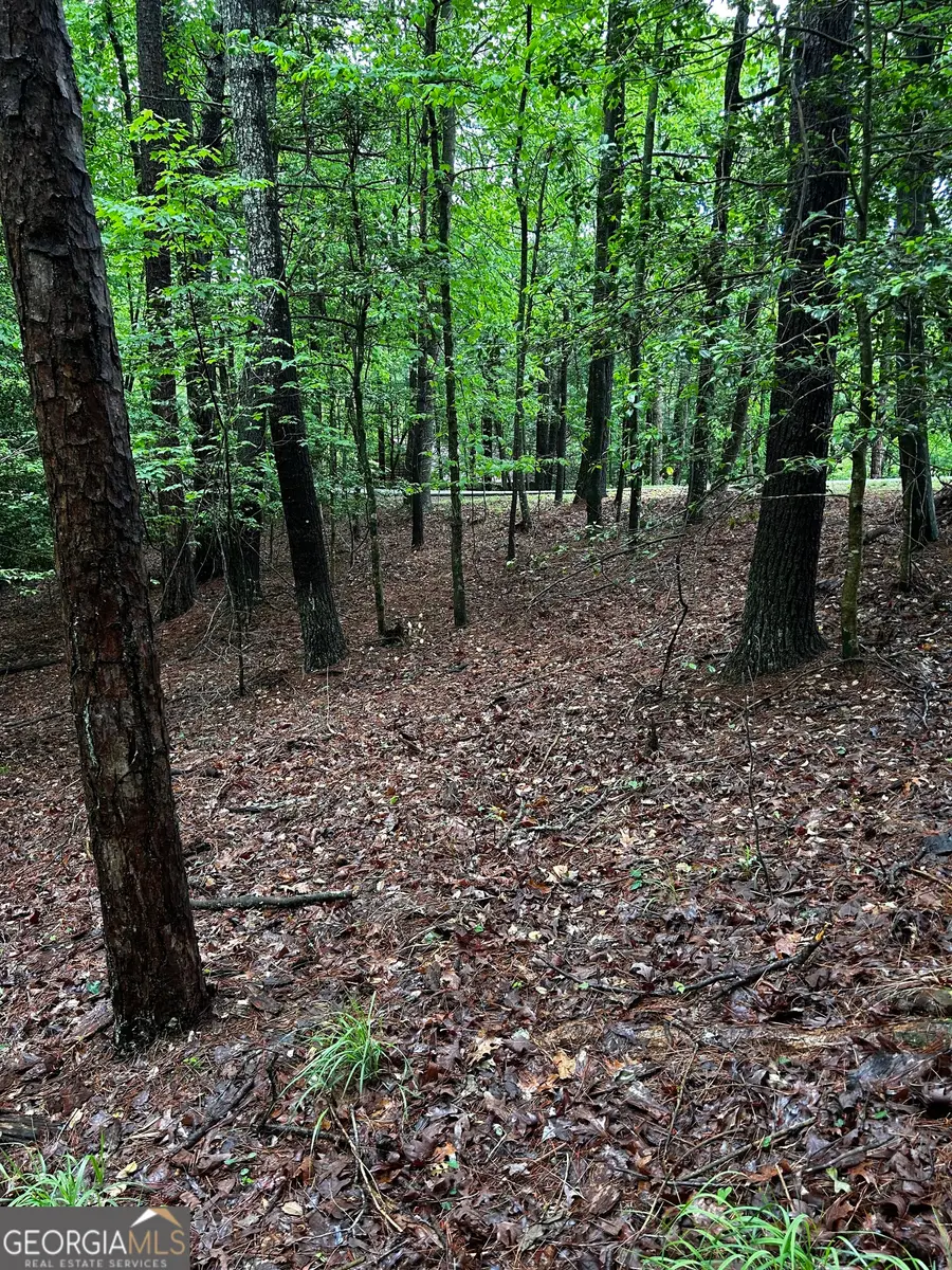 1.08 ACRES 00 Lazy River Lane, Ellijay, GA 30540 - #3