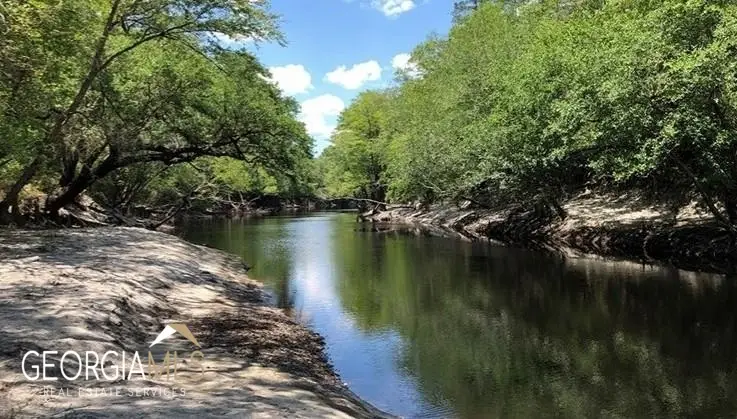 LOT 2 Baker Blvd/cr 4, Saint George, GA 31562 - #3