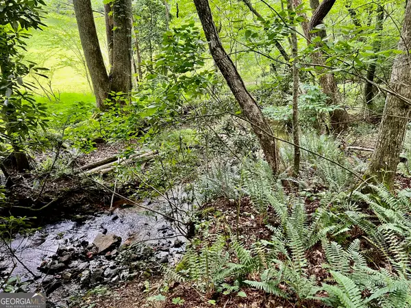 LOT 4 Lower Fox Trail, Blairsville, GA 30512