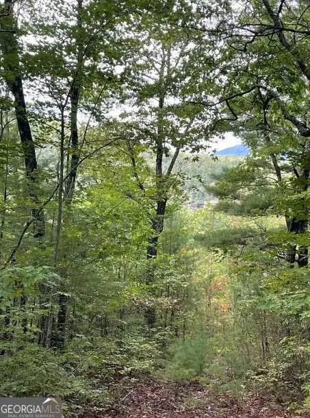 LOT 6 Sequoia Hills Lane #6, Clayton, GA 30525 - #3