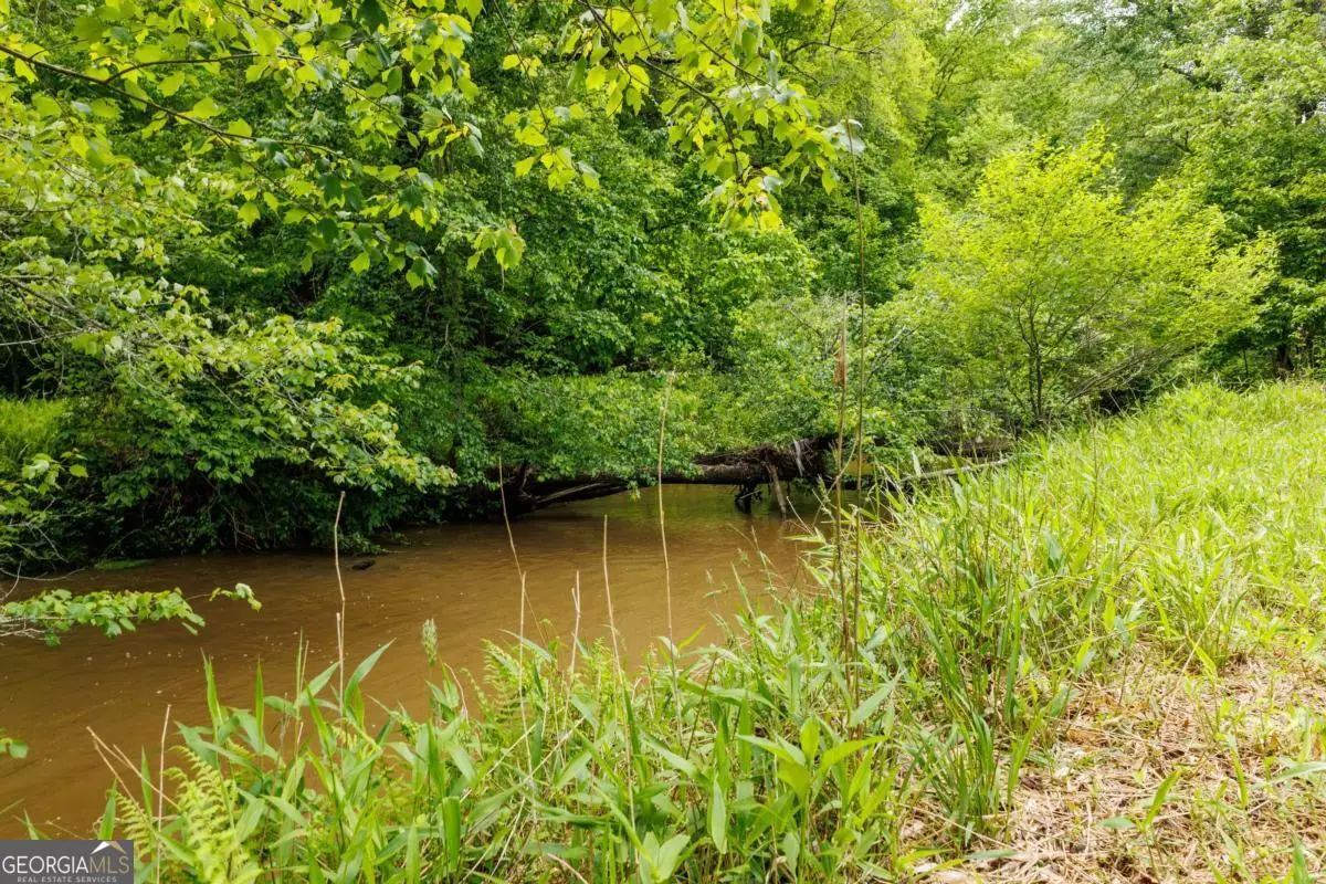 0 Galloway Road, Blue Ridge, GA 30513 - #1