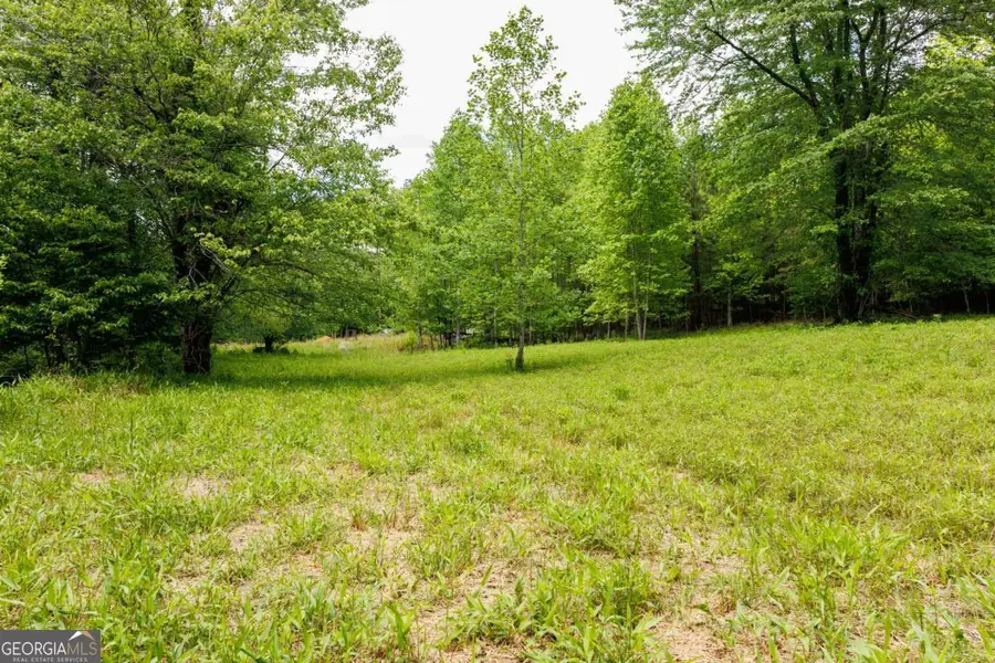 0 Galloway Road, Blue Ridge, GA 30513 - #3