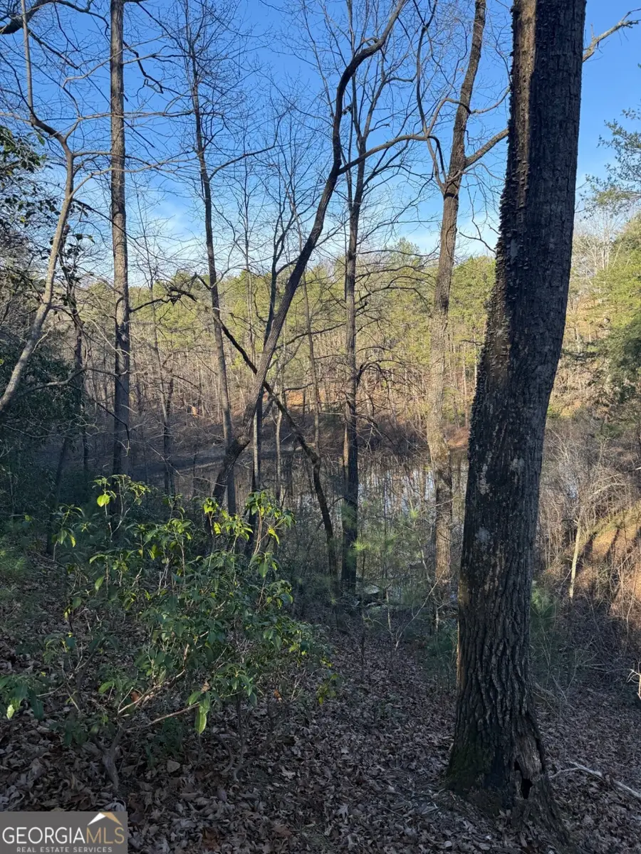 15 Mountain Gate, Cleveland, GA 30528 - #3