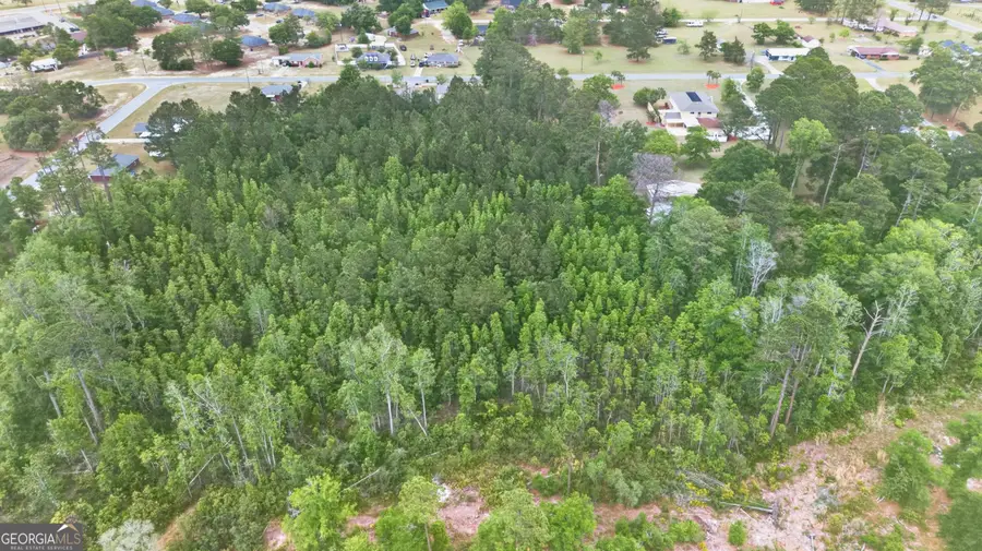 139 Blount Street, Reidsville, GA 30453 - #3