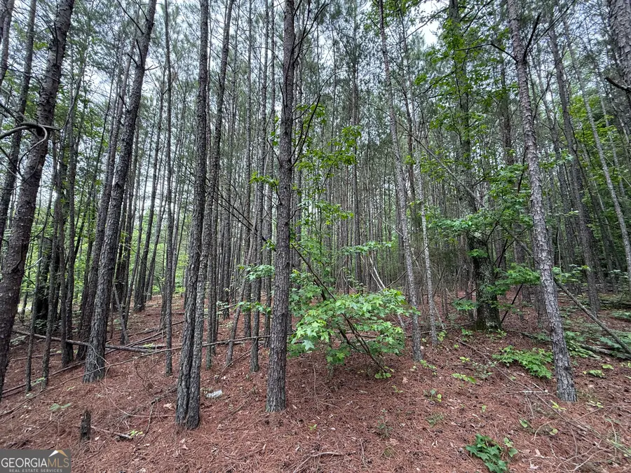 0 Natures Walk Drive, Rome, GA 30165 - #2