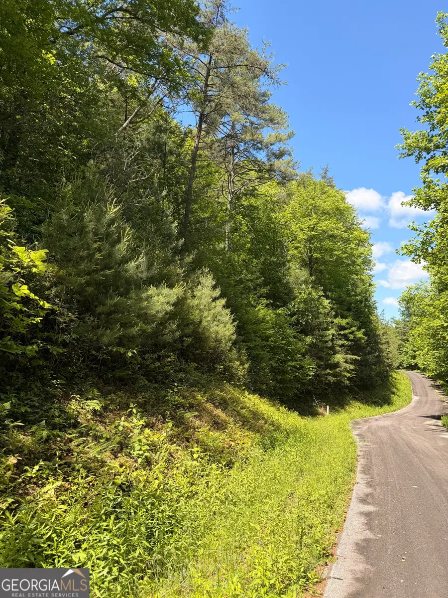 C Shake Hollow, Rabun Gap, GA 30568 - #3