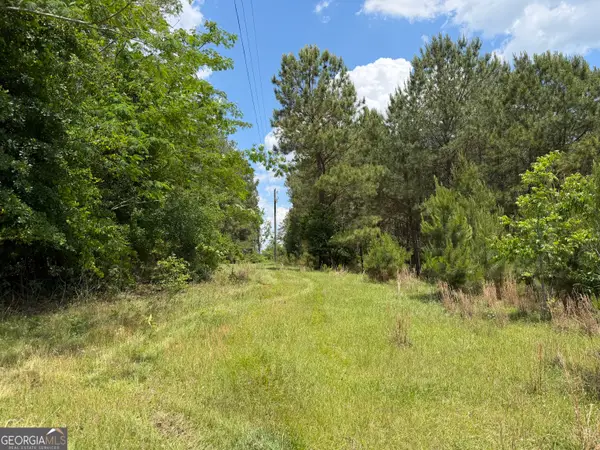 007 Long Branch Rd, Toomsboro, GA 31090
