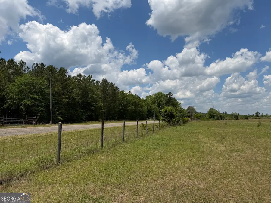 007 Long Branch Rd, Toomsboro, GA 31090 - #2