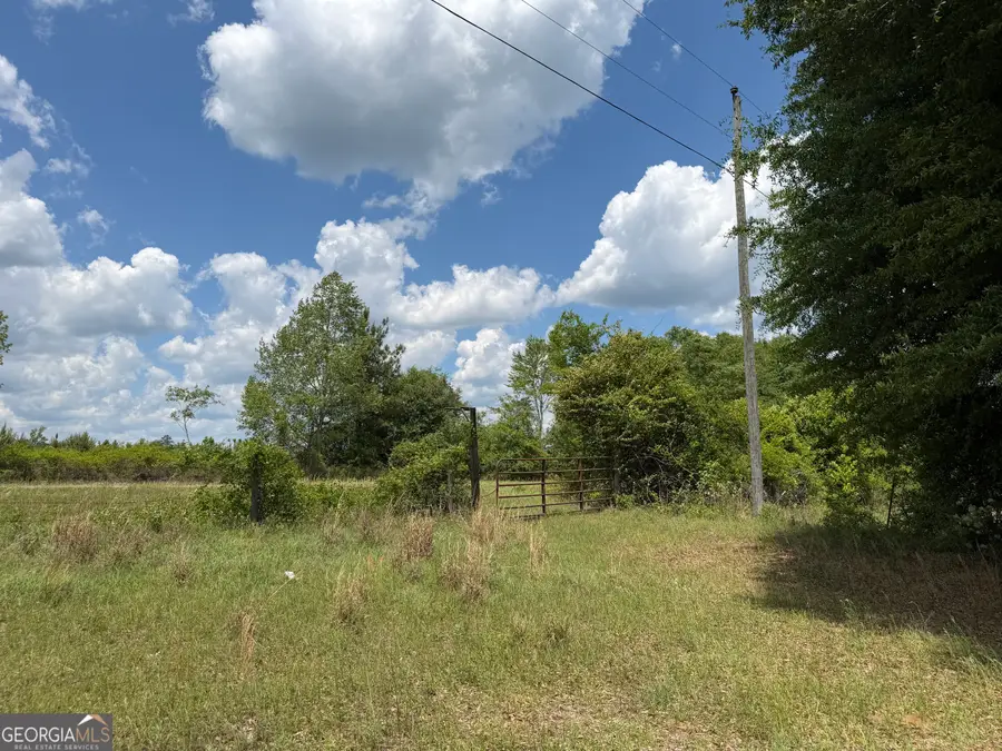 007 Long Branch Rd, Toomsboro, GA 31090 - #3