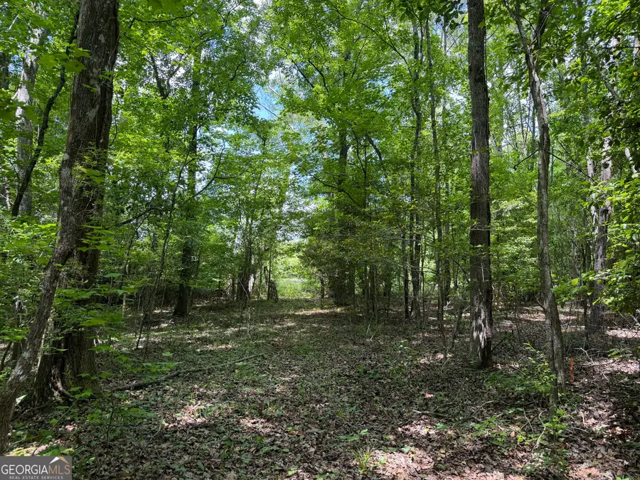 025 Long Branch Rd, Toomsboro, GA 31090 - #3