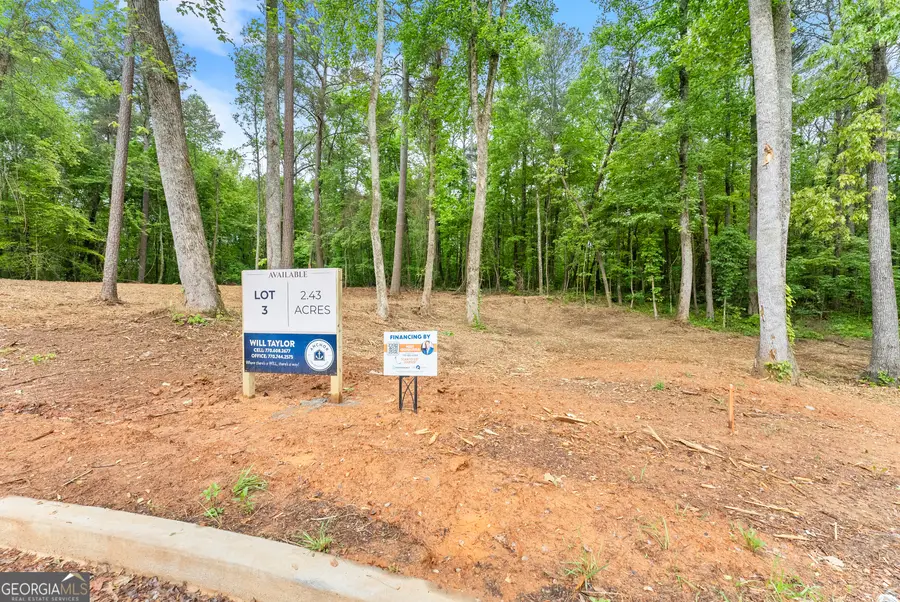 LOT 3 Lowe Lane, Talking Rock, GA 30175 - #3