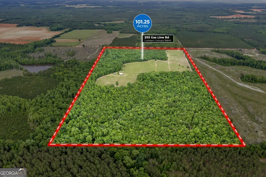 203 Gas Line Road, Cuthbert, GA 39840 - #2