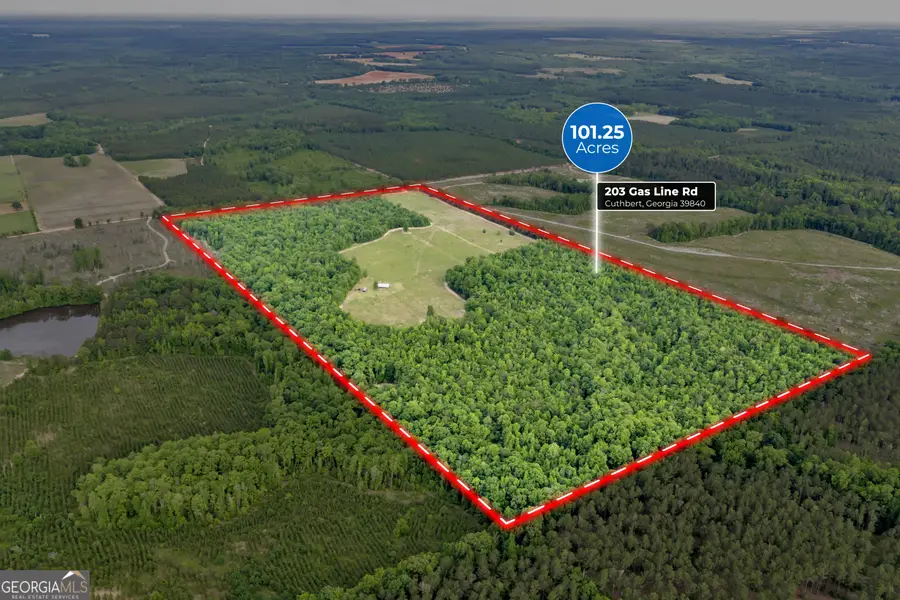 203 Gas Line Road, Cuthbert, GA 39840 - #3