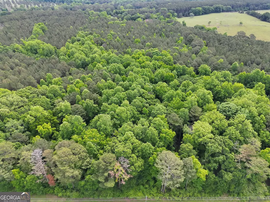 0 Highway 85, Gay, GA 30218 - #3