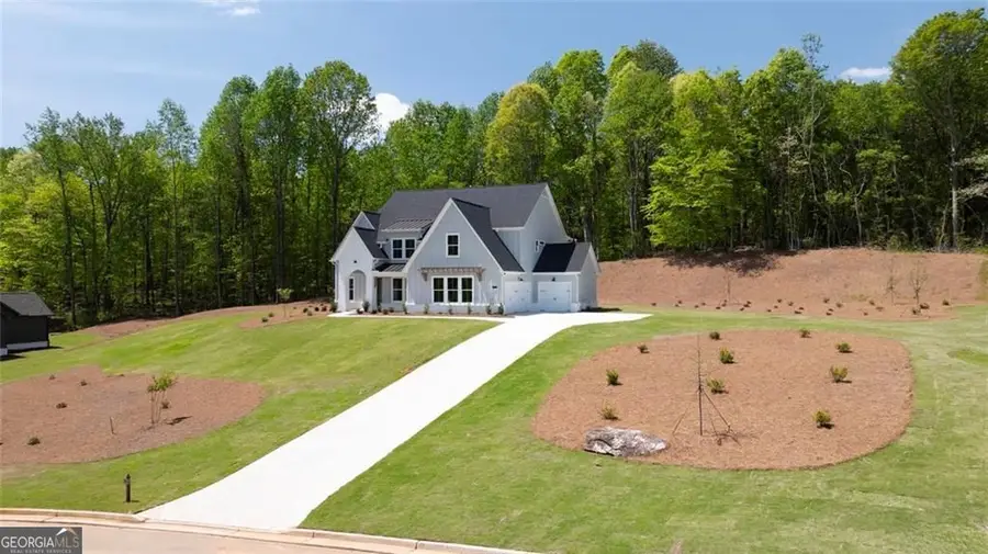 8330 Creekside Overlook Drive, Gainesville, GA 30506 - #3