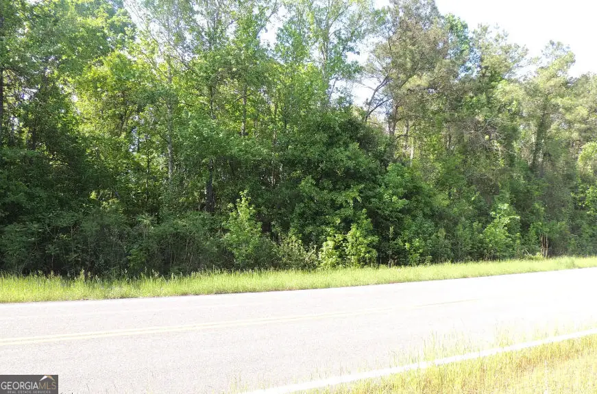 0 Causey Road, Knoxville, GA 31050 - #3
