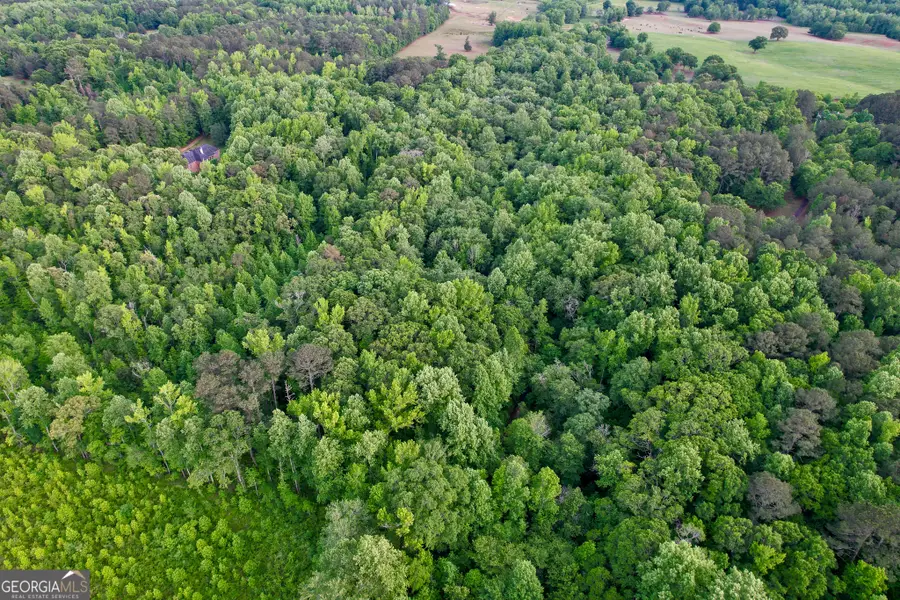0 Hemphill Road, Griffin, GA 30224 - #3