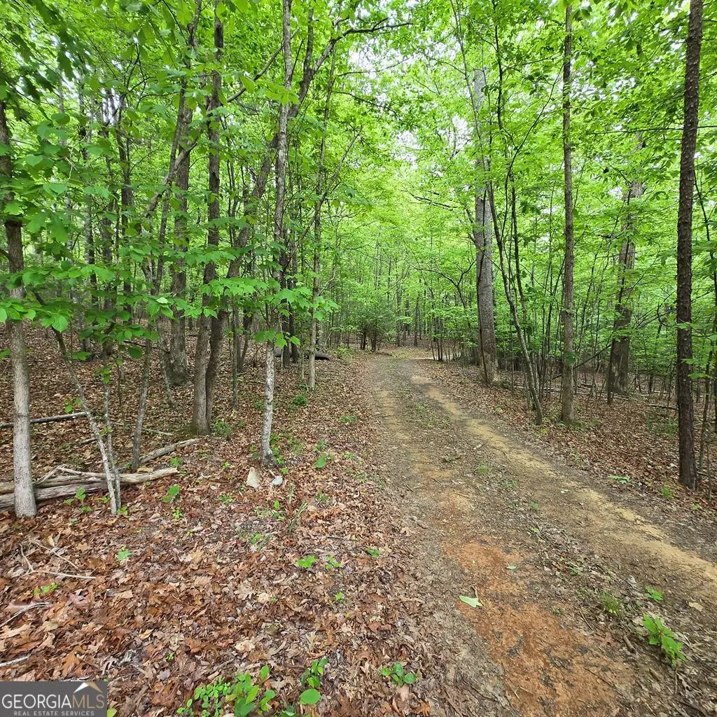 3.5ACRE Dusty Trail, Morganton, GA 30560 - #1