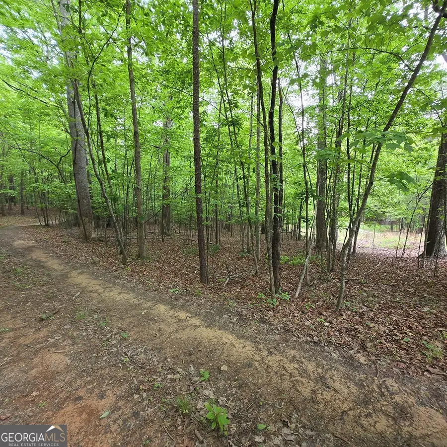 3.5ACRE Dusty Trail, Morganton, GA 30560 - #2