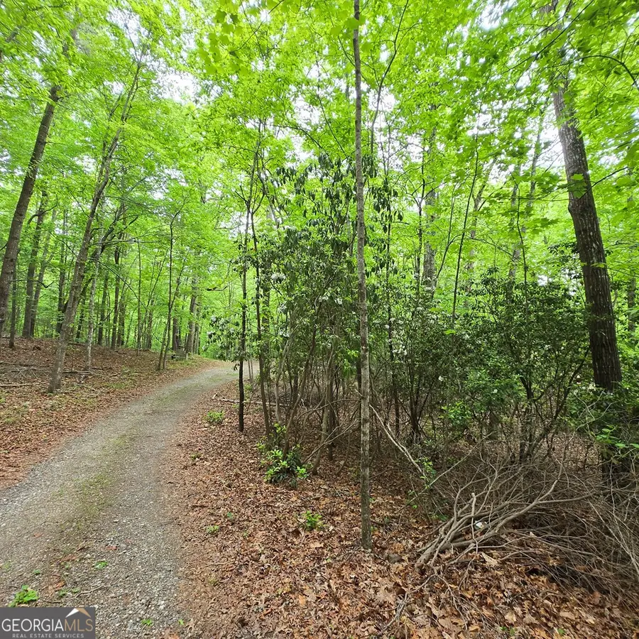 3.5ACRE Dusty Trail, Morganton, GA 30560 - #3