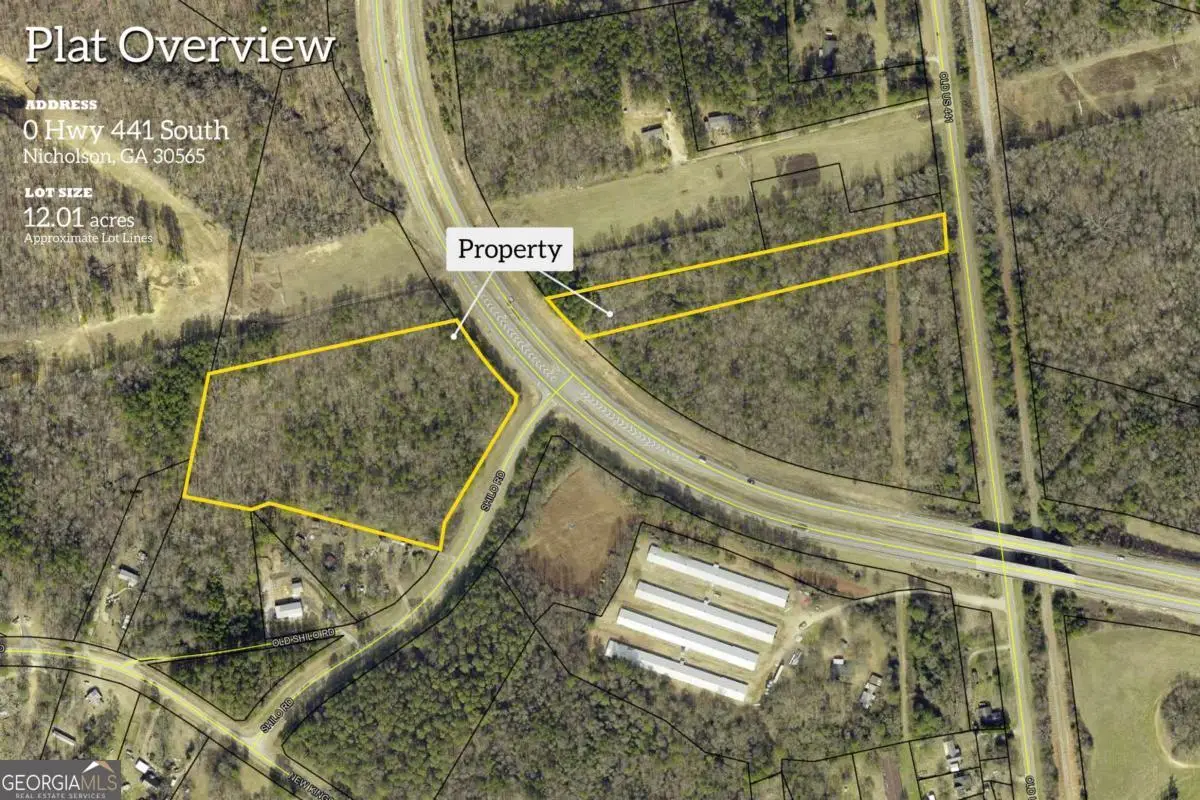 0 U Hwy 441 S, Nicholson, GA 30565 - #1