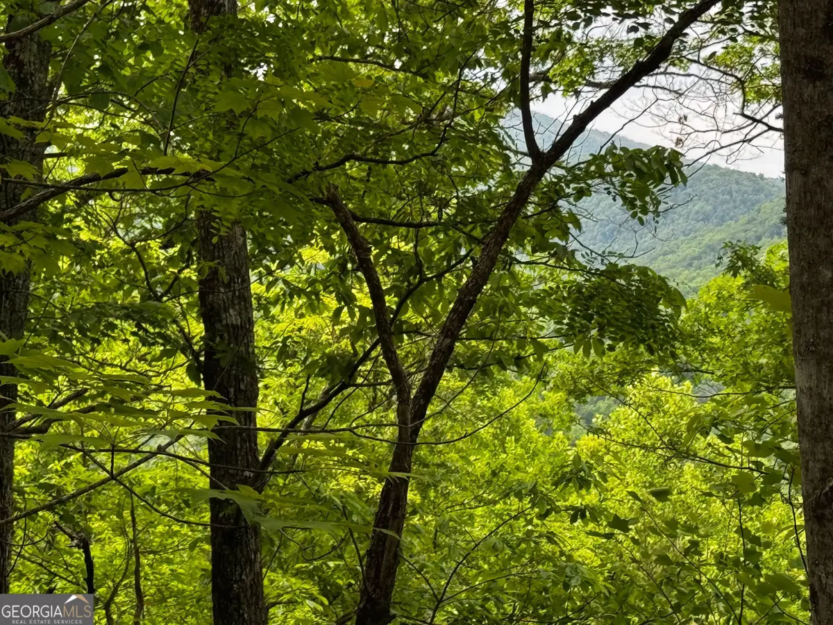 #6 Pounding Mill Overlook, Hayesville, NC 28904 - #1