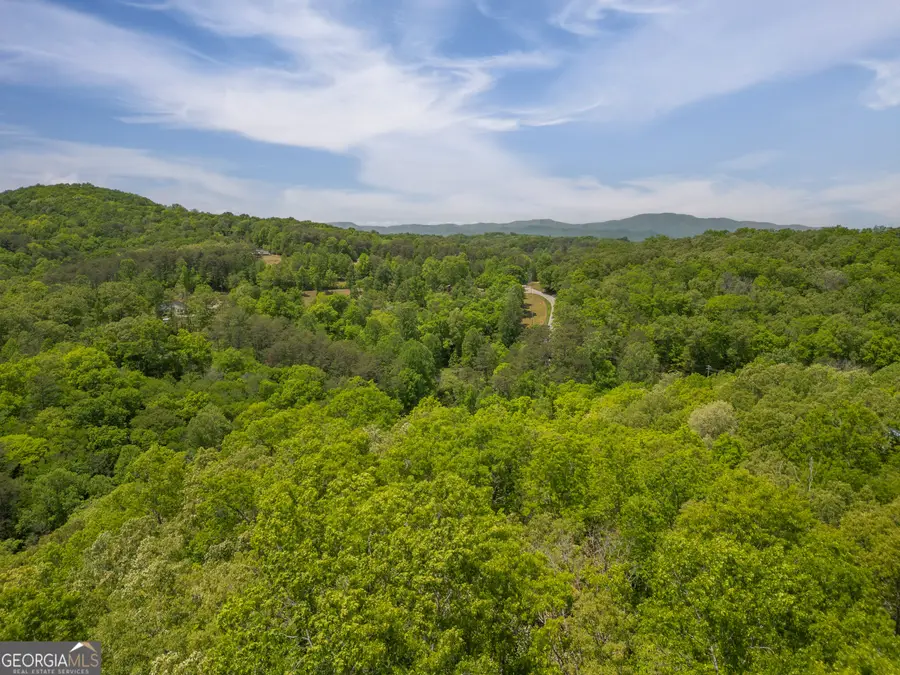 2.90 ACRES Galloway Road, Blue Ridge, GA 30513 - #2