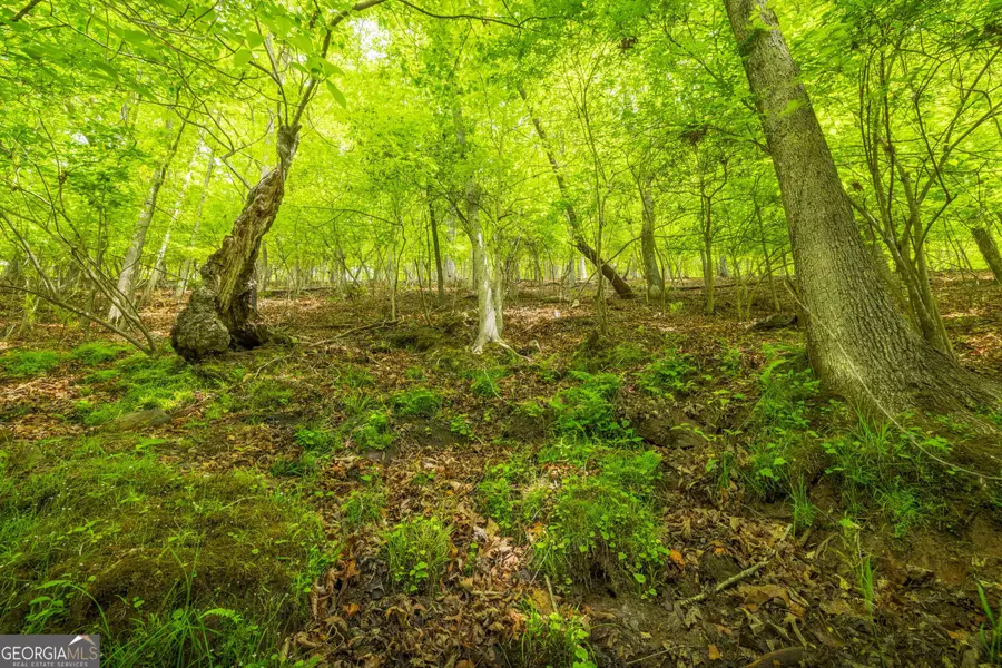 2.90 ACRES Galloway Road, Blue Ridge, GA 30513 - #3