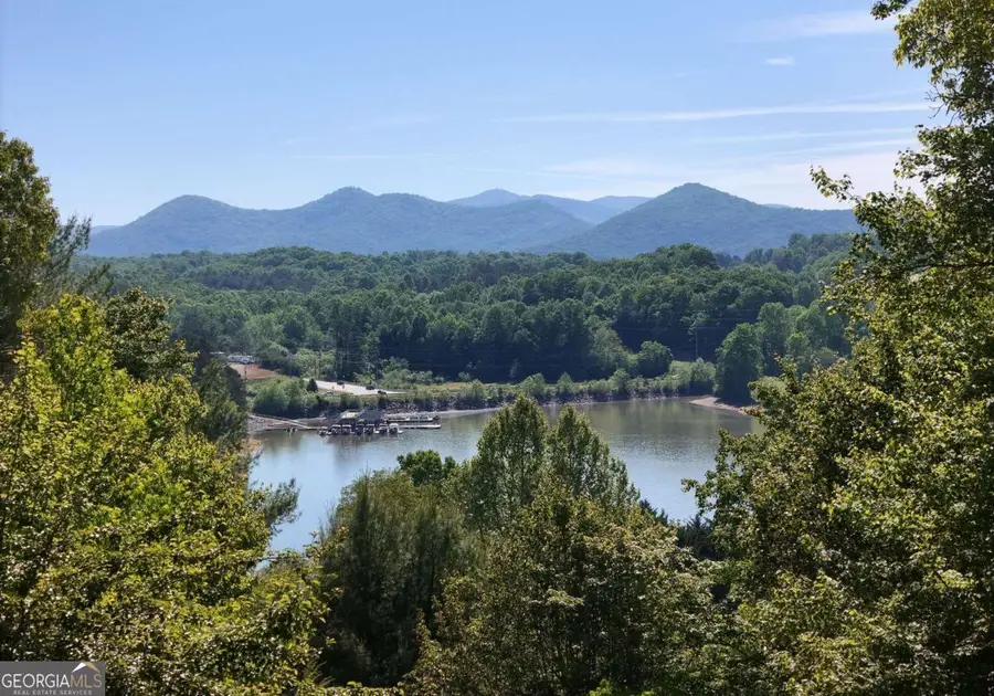 382 Pat Colwell Road #TRACT 1, Blairsville, GA 30512 - #2