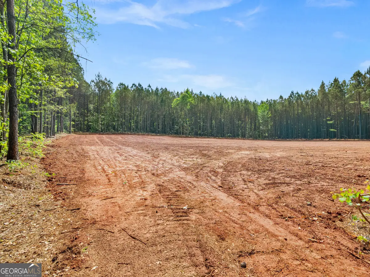 446 Parks Road, Forsyth, GA 31029 - #1