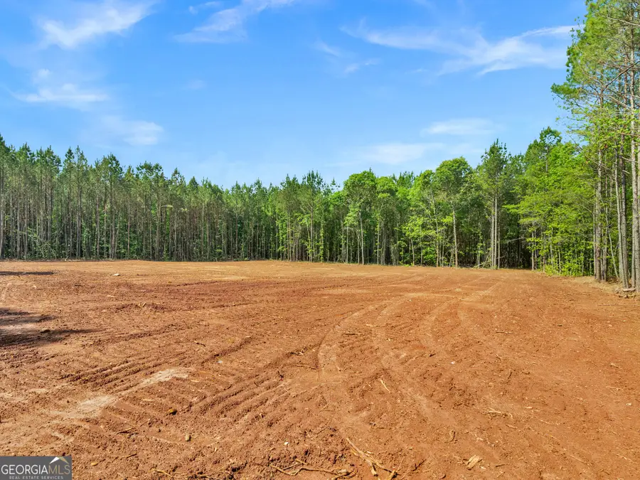 446 Parks Road, Forsyth, GA 31029 - #2