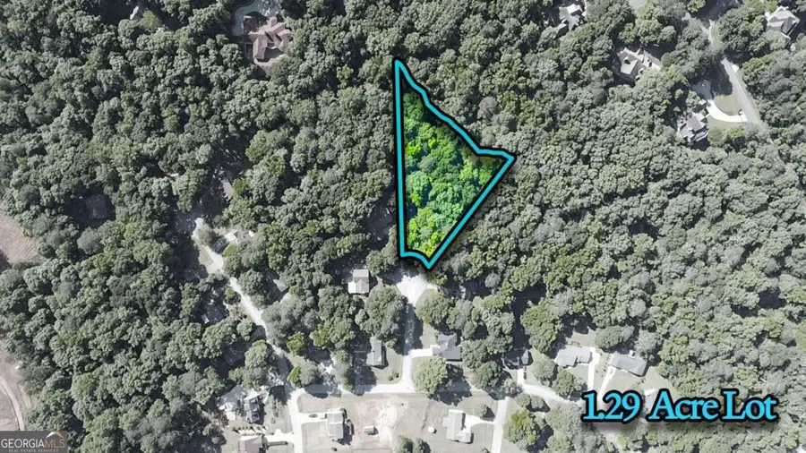 126 Mcnutts Creek Court, Athens, GA 30606 - #3