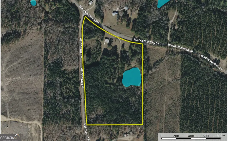 7517 Blacks Bluff Rd. Sw (24 +/- Acres), Cave Spring, GA 30124 - #2