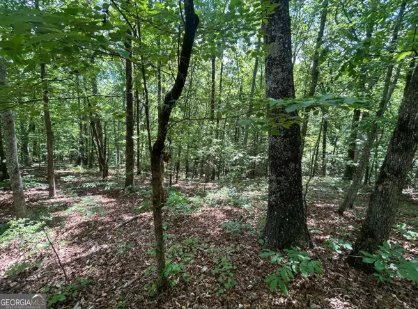 0 Fouts Mill Rd, Douglasville, GA 30135