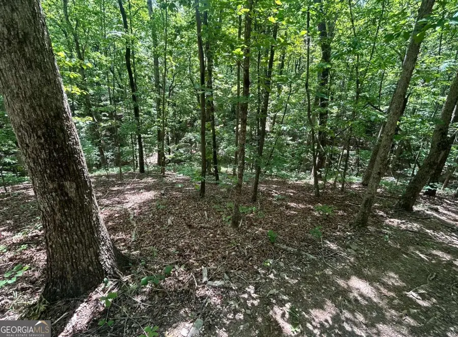 0 Fouts Mill Rd, Douglasville, GA 30135 - #3