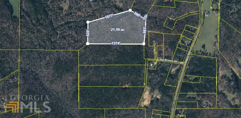 0 LOT 108 Joe Brown Drive, Shiloh, GA 31826 - #1